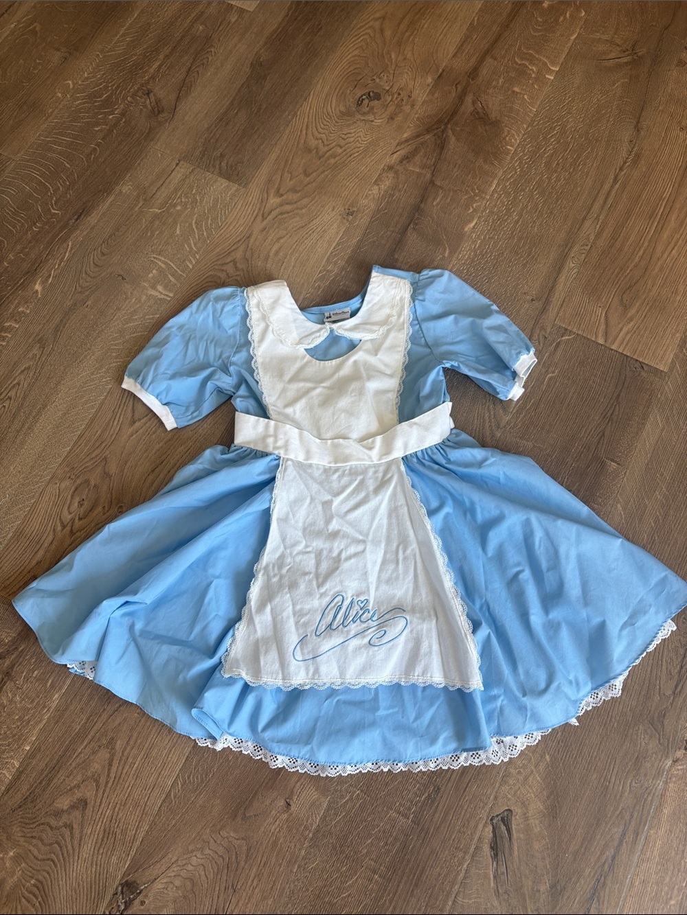 Disney Blue and White Alice Dress Costume